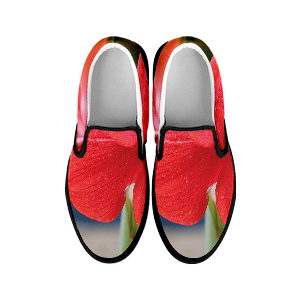 Blooming Amaryllis Print Black Slip On Shoes