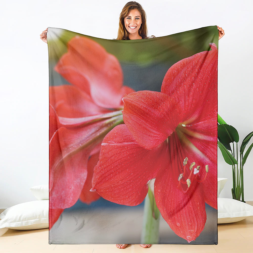 Blooming Amaryllis Print Blanket