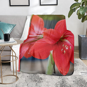 Blooming Amaryllis Print Blanket