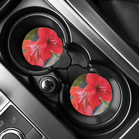 Blooming Amaryllis Print Car Coasters