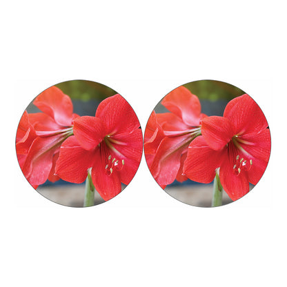 Blooming Amaryllis Print Car Coasters