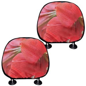 Blooming Amaryllis Print Car Headrest Covers