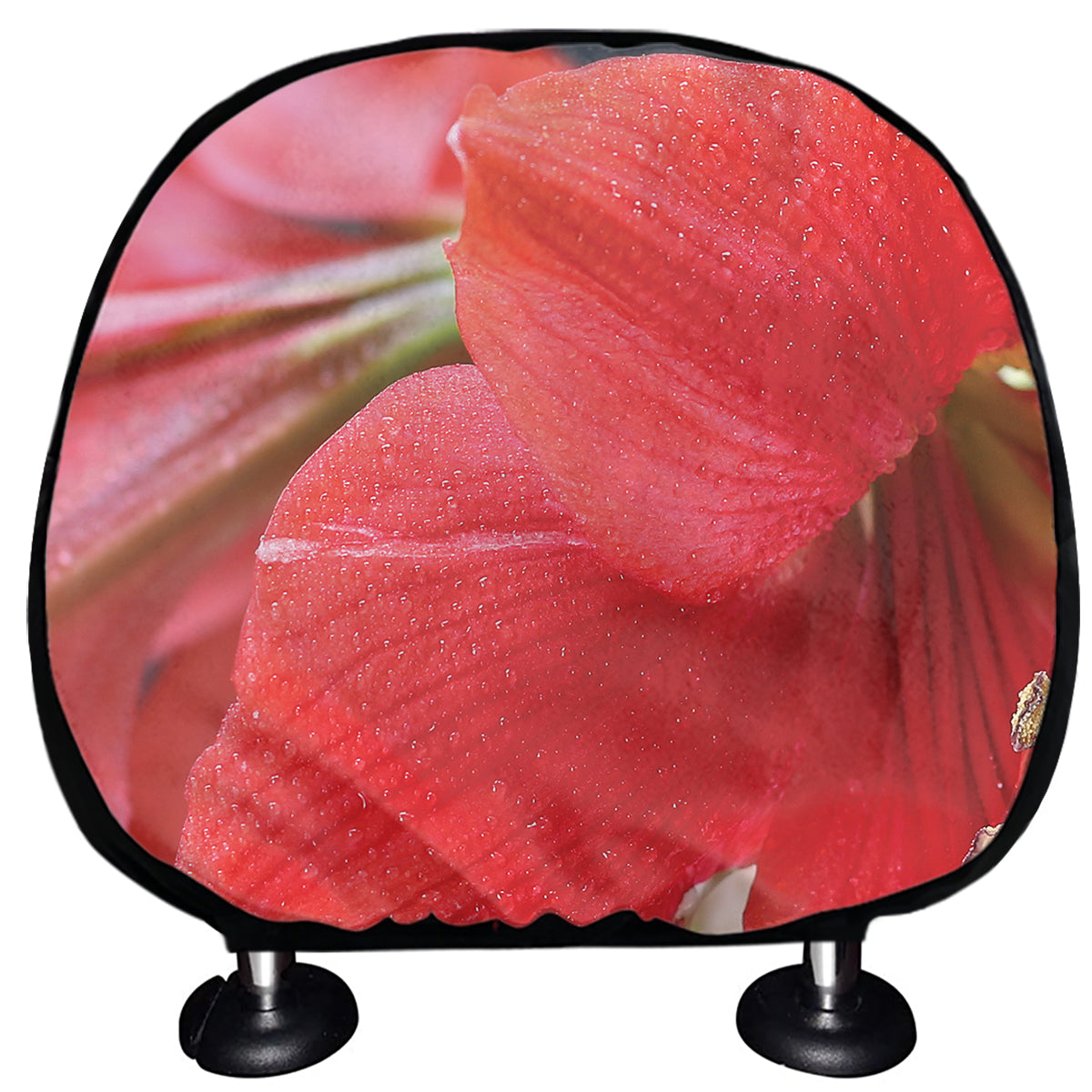 Blooming Amaryllis Print Car Headrest Covers