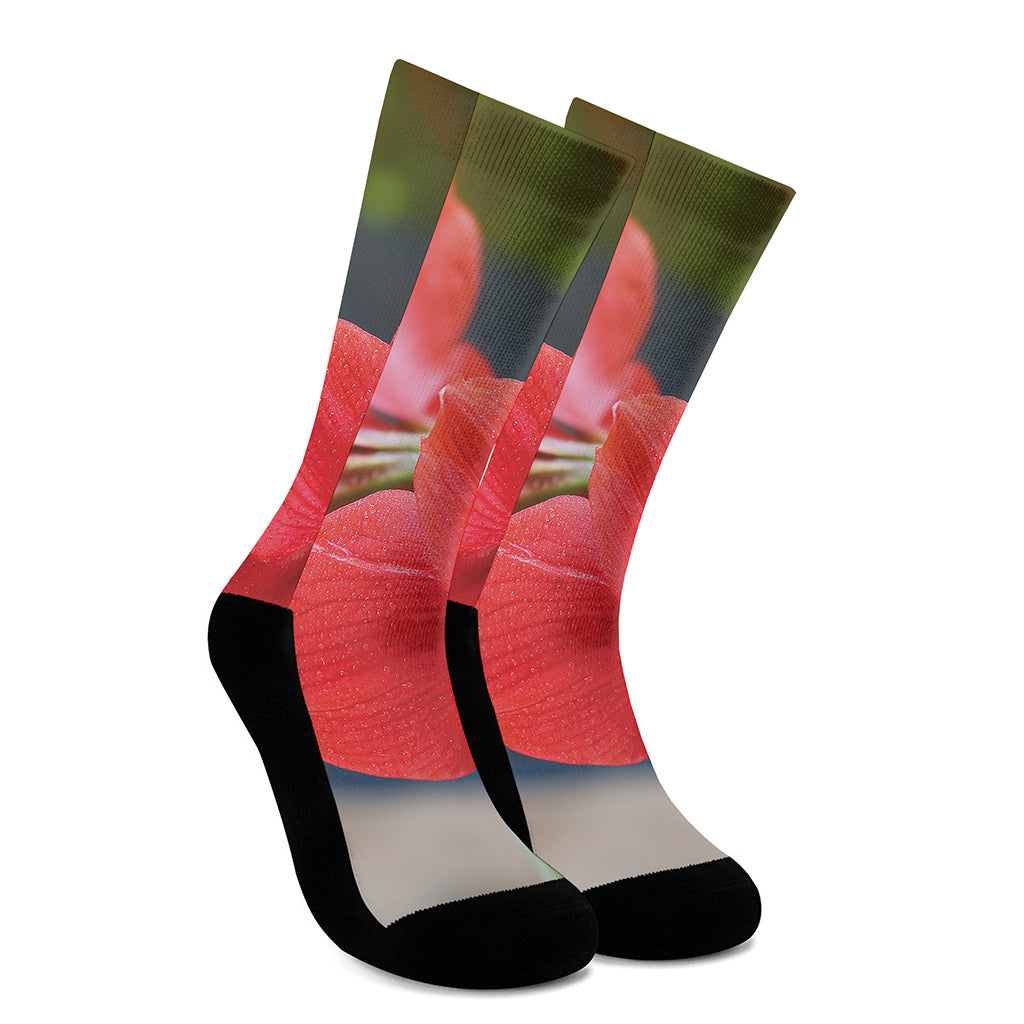 Blooming Amaryllis Print Crew Socks