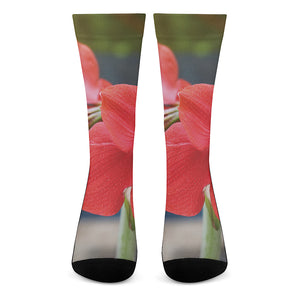 Blooming Amaryllis Print Crew Socks