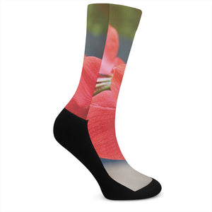 Blooming Amaryllis Print Crew Socks