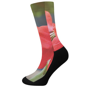 Blooming Amaryllis Print Crew Socks