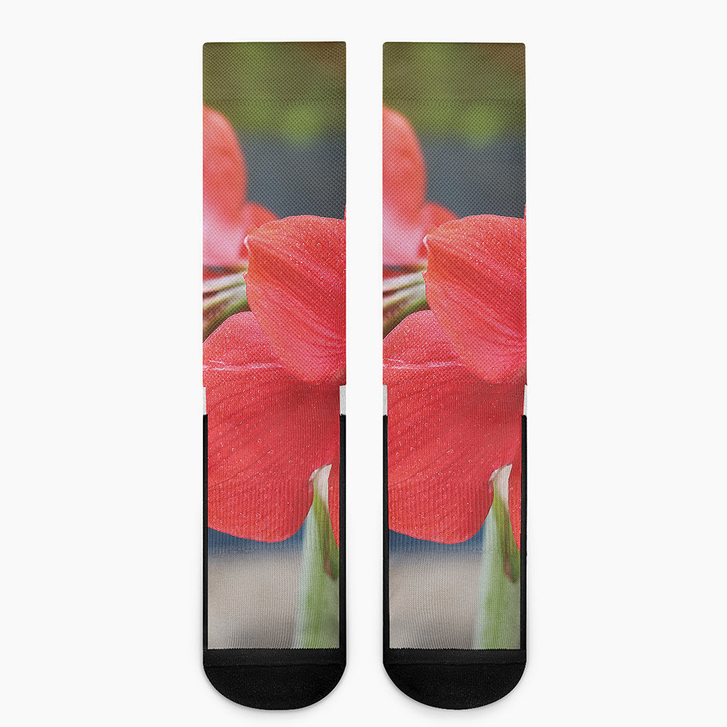 Blooming Amaryllis Print Crew Socks