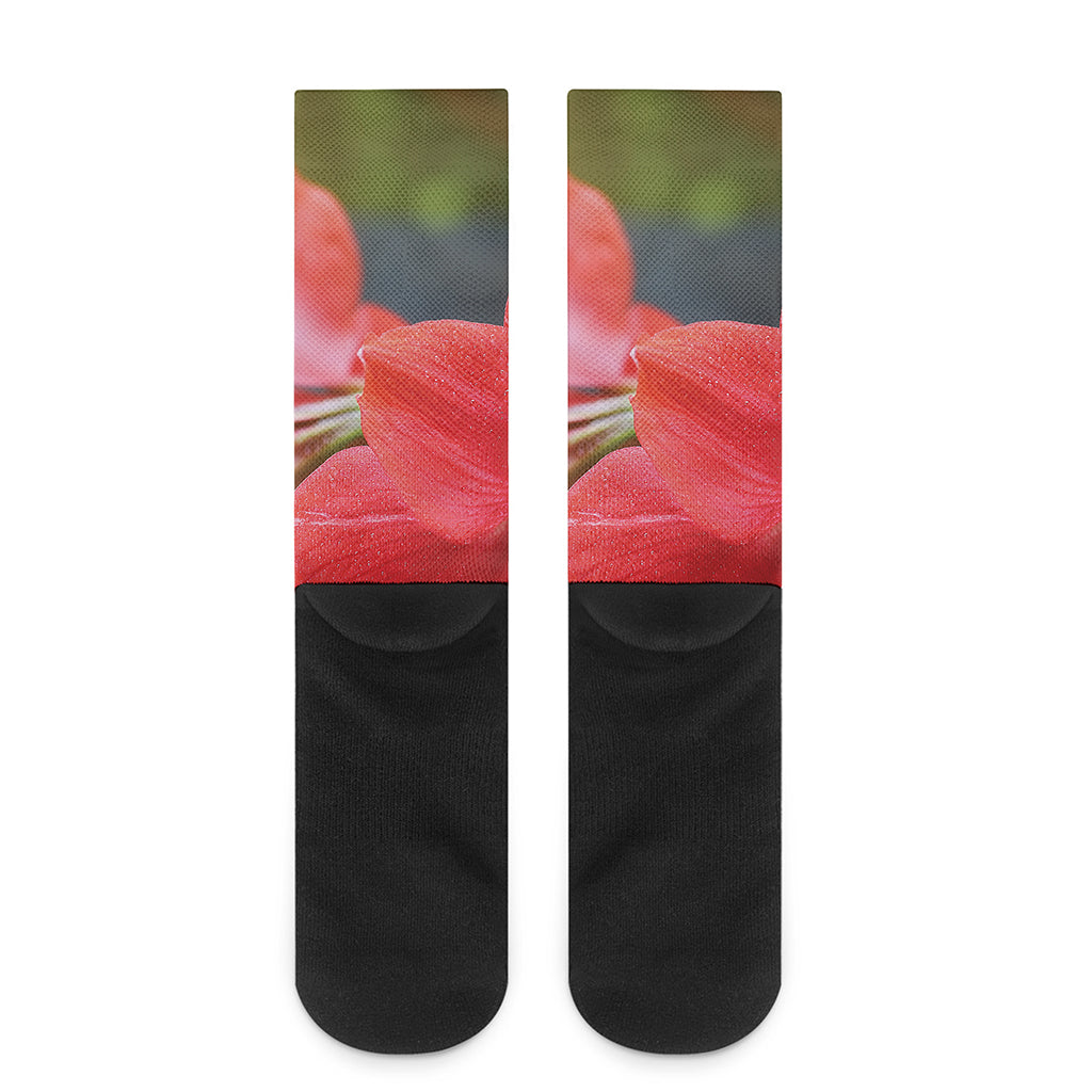 Blooming Amaryllis Print Crew Socks