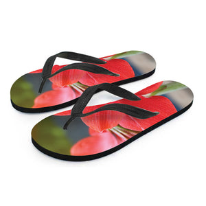 Blooming Amaryllis Print Flip Flops