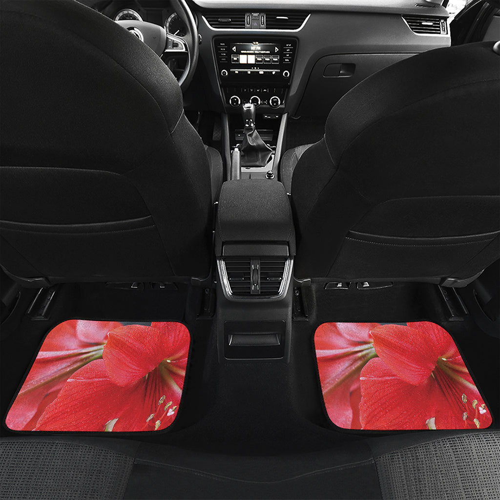 Blooming Amaryllis Print Front and Back Car Floor Mats