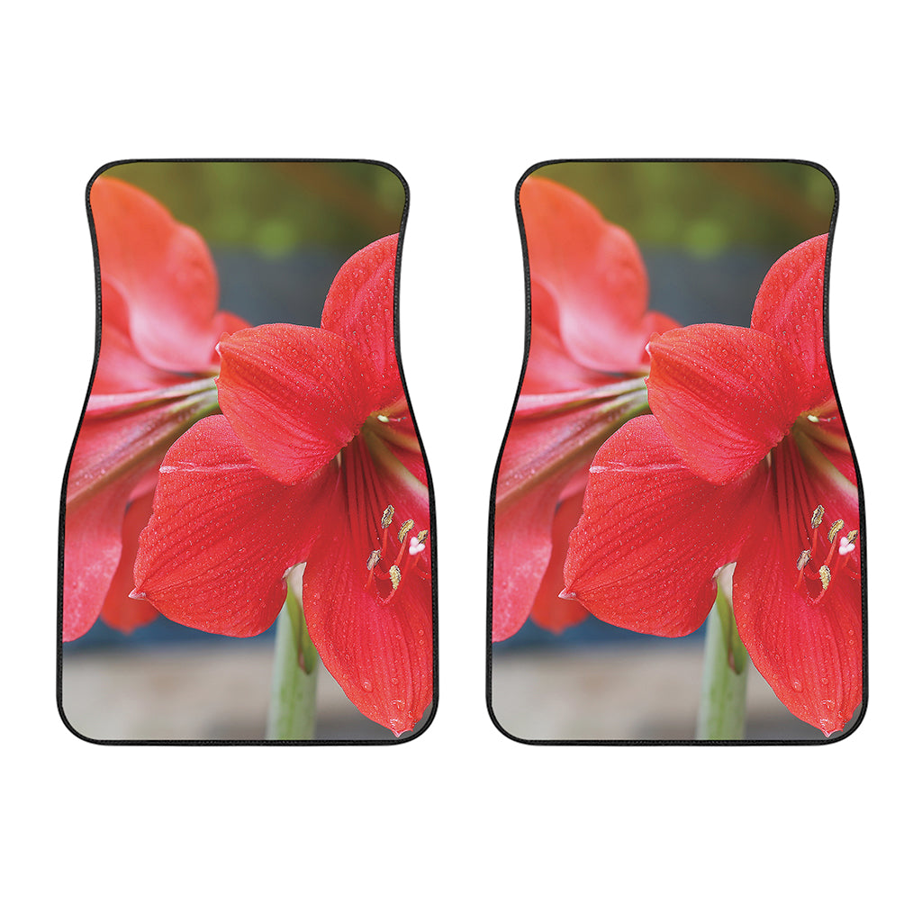 Blooming Amaryllis Print Front Car Floor Mats