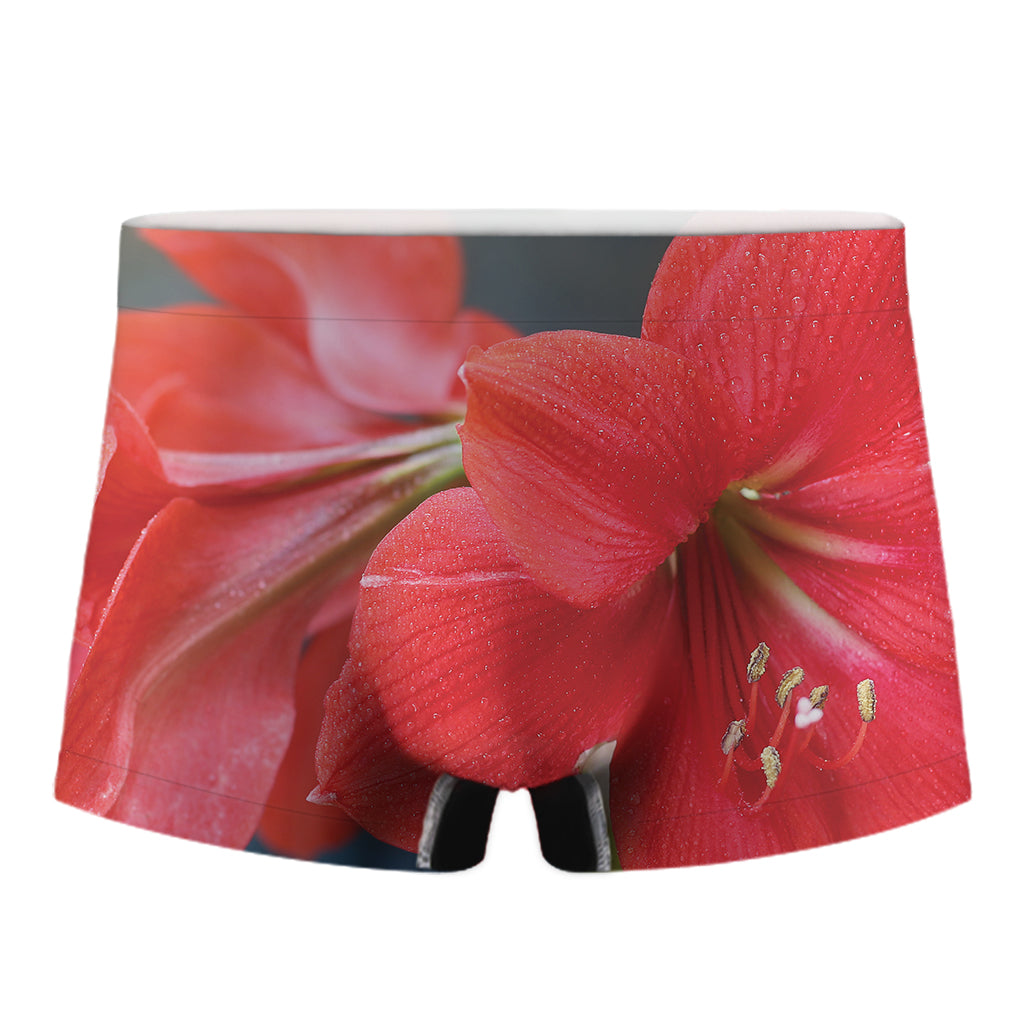 Blooming Amaryllis Print Men's Boxer Briefs