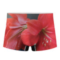 Blooming Amaryllis Print Men's Boxer Briefs