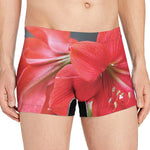 Blooming Amaryllis Print Men's Boxer Briefs