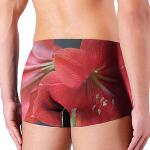 Blooming Amaryllis Print Men's Boxer Briefs