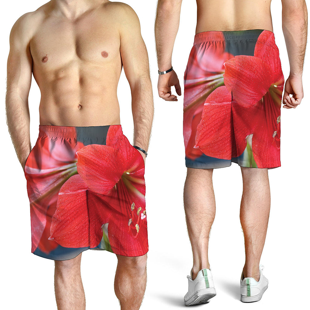 Blooming Amaryllis Print Men's Shorts