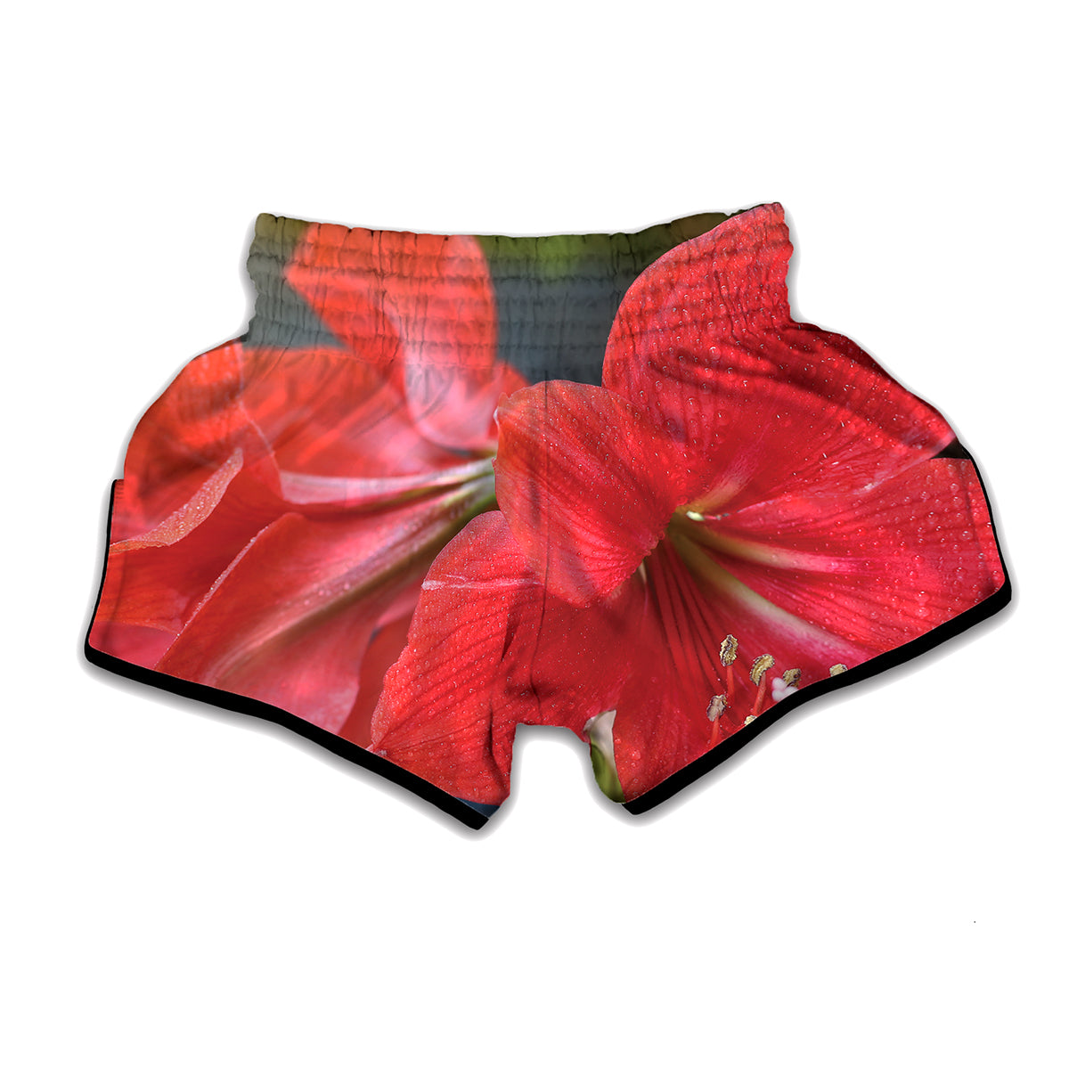 Blooming Amaryllis Print Muay Thai Boxing Shorts