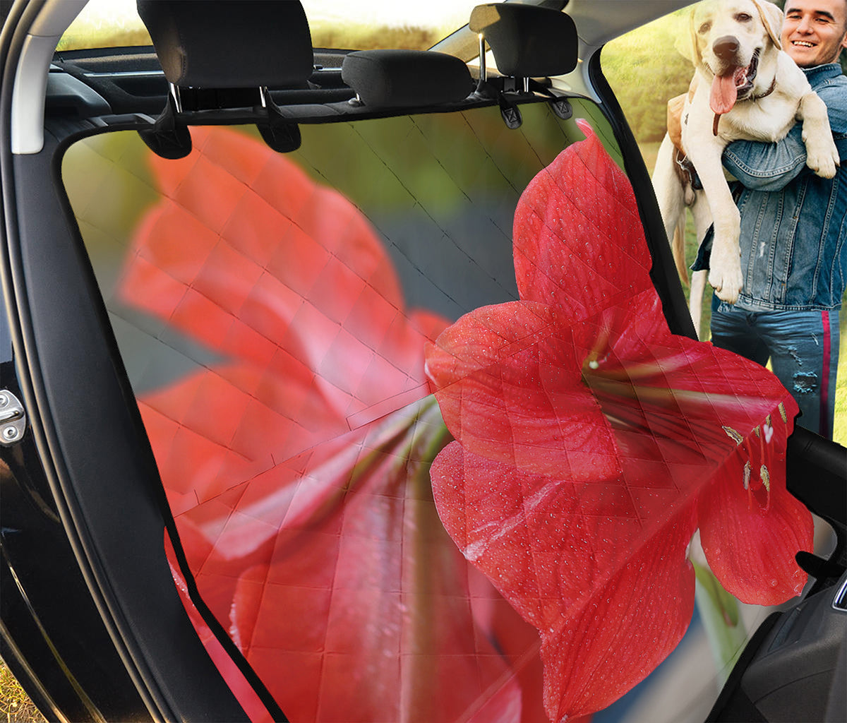 Blooming Amaryllis Print Pet Car Back Seat Cover