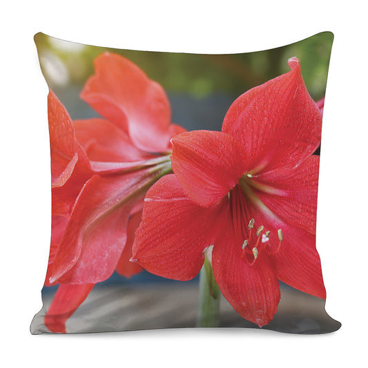 Blooming Amaryllis Print Pillow Cover