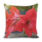 Blooming Amaryllis Print Pillow Cover