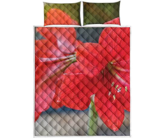 Blooming Amaryllis Print Quilt Bed Set