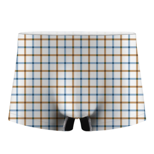 Blue And Brown Tattersall Pattern Print Men's Boxer Briefs