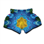 Blue And Pink Flowers Kaleidoscope Print Muay Thai Boxing Shorts