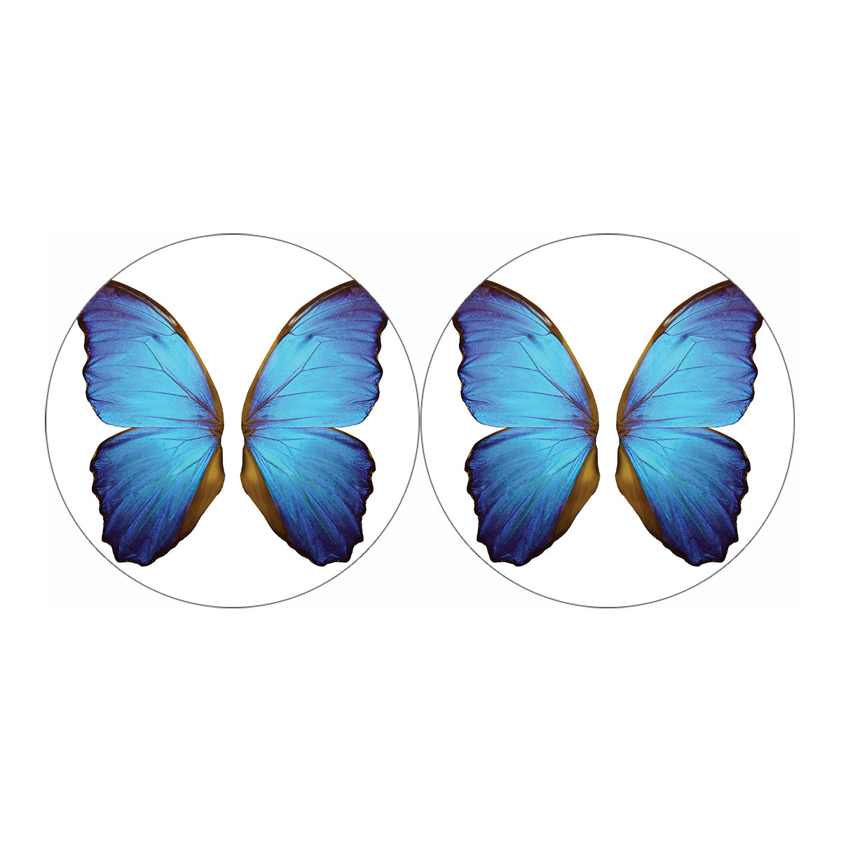 Blue Butterfly Wings Print Car Coasters