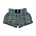 Blue Green And White Plaid Pattern Print Muay Thai Boxing Shorts