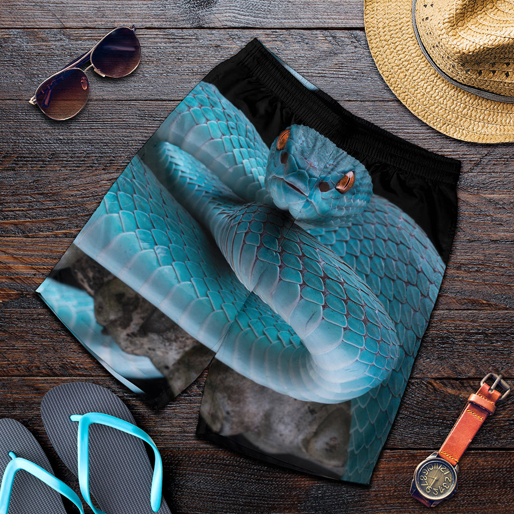 Blue Pit Viper Snake Print Men's Shorts