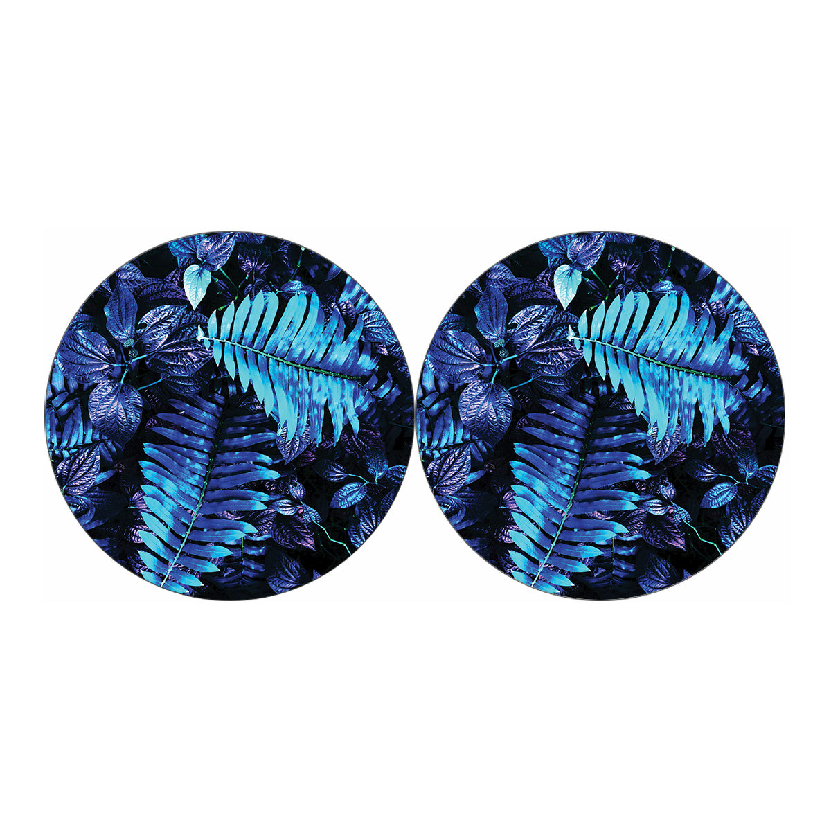 Blue Tropical Leaves Print Car Coasters
