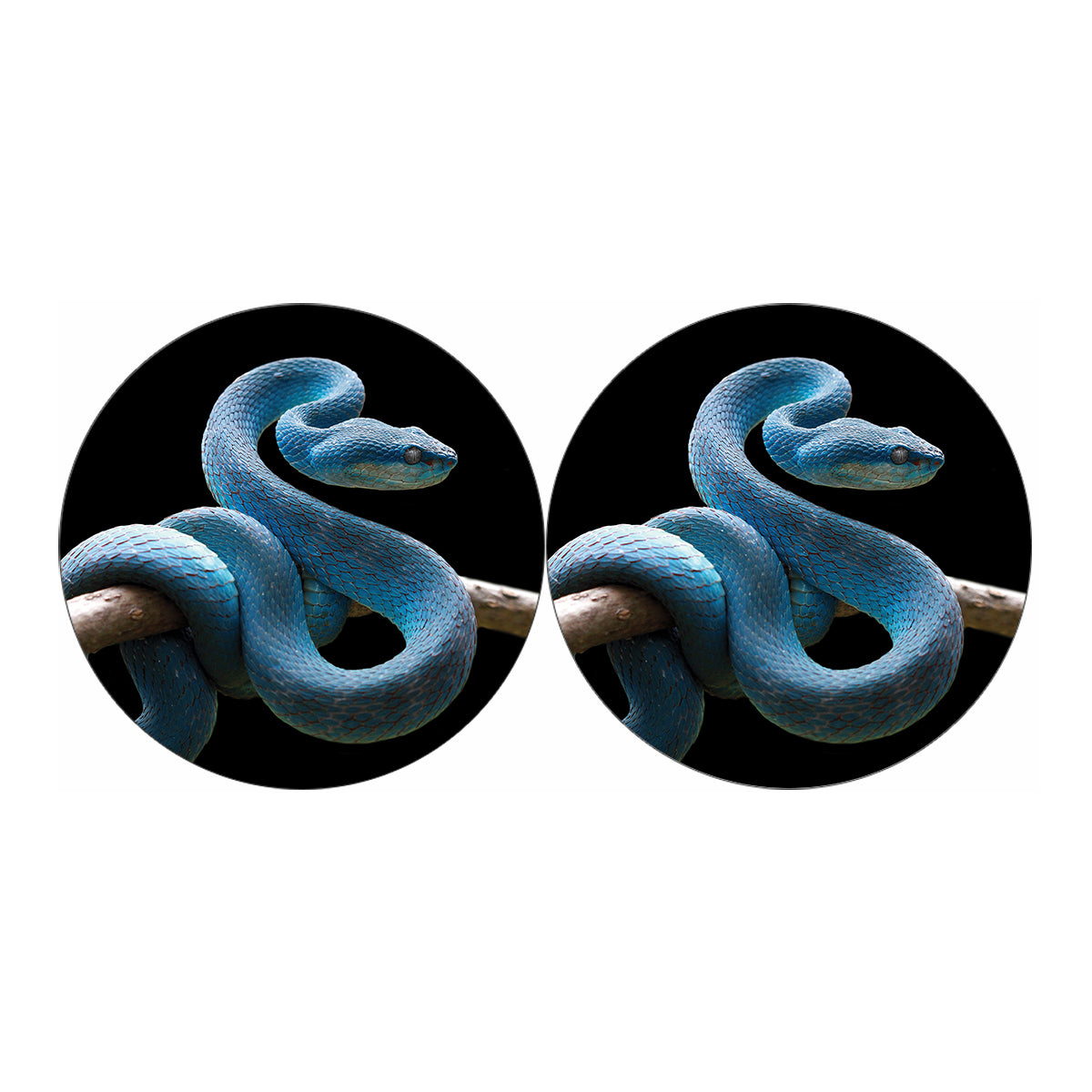 Blue Viper Snake Print Car Coasters