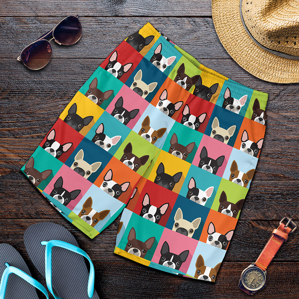 Boston Terrier Puppy Faces Print Men's Shorts