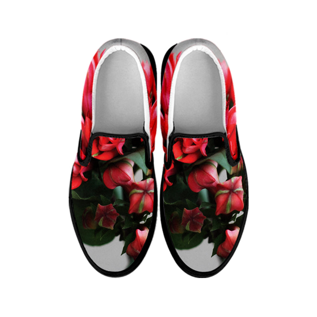 Bouvardia Flower Print Black Slip On Shoes
