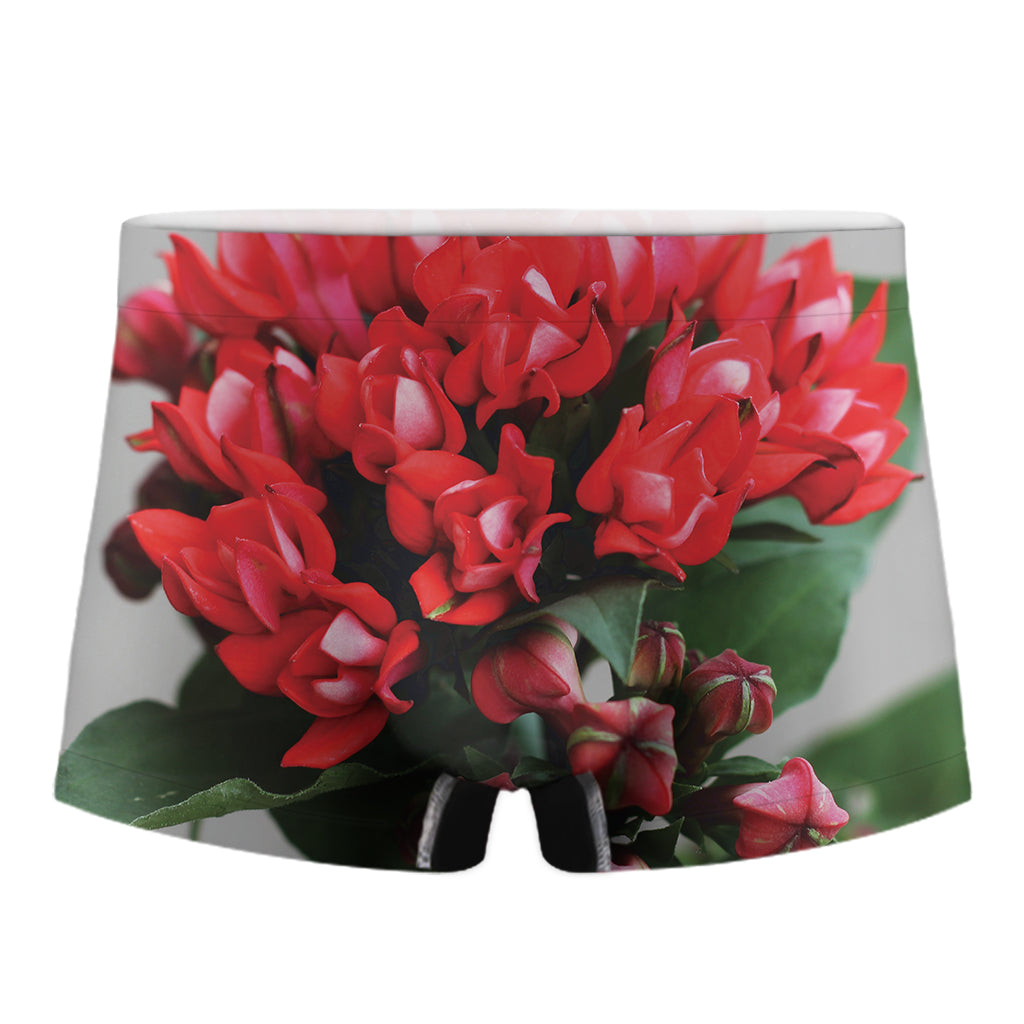 Bouvardia Flower Print Men's Boxer Briefs