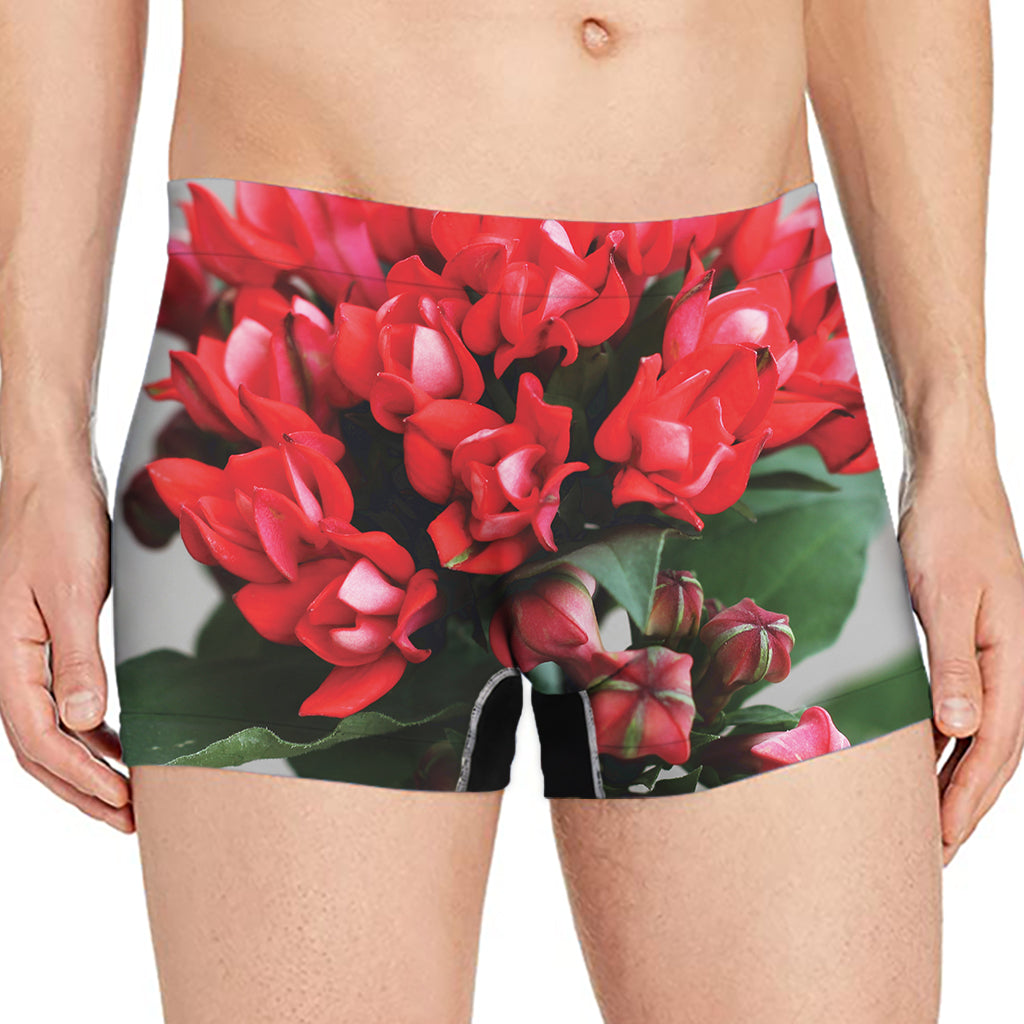 Bouvardia Flower Print Men's Boxer Briefs