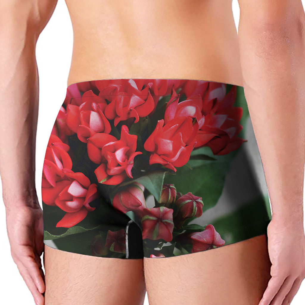 Bouvardia Flower Print Men's Boxer Briefs