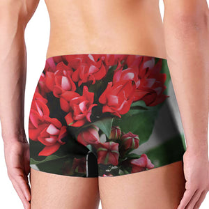 Bouvardia Flower Print Men's Boxer Briefs