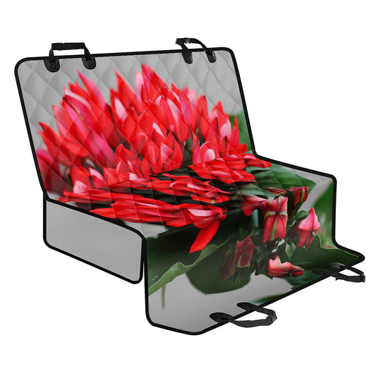 Bouvardia Flower Print Pet Car Back Seat Cover