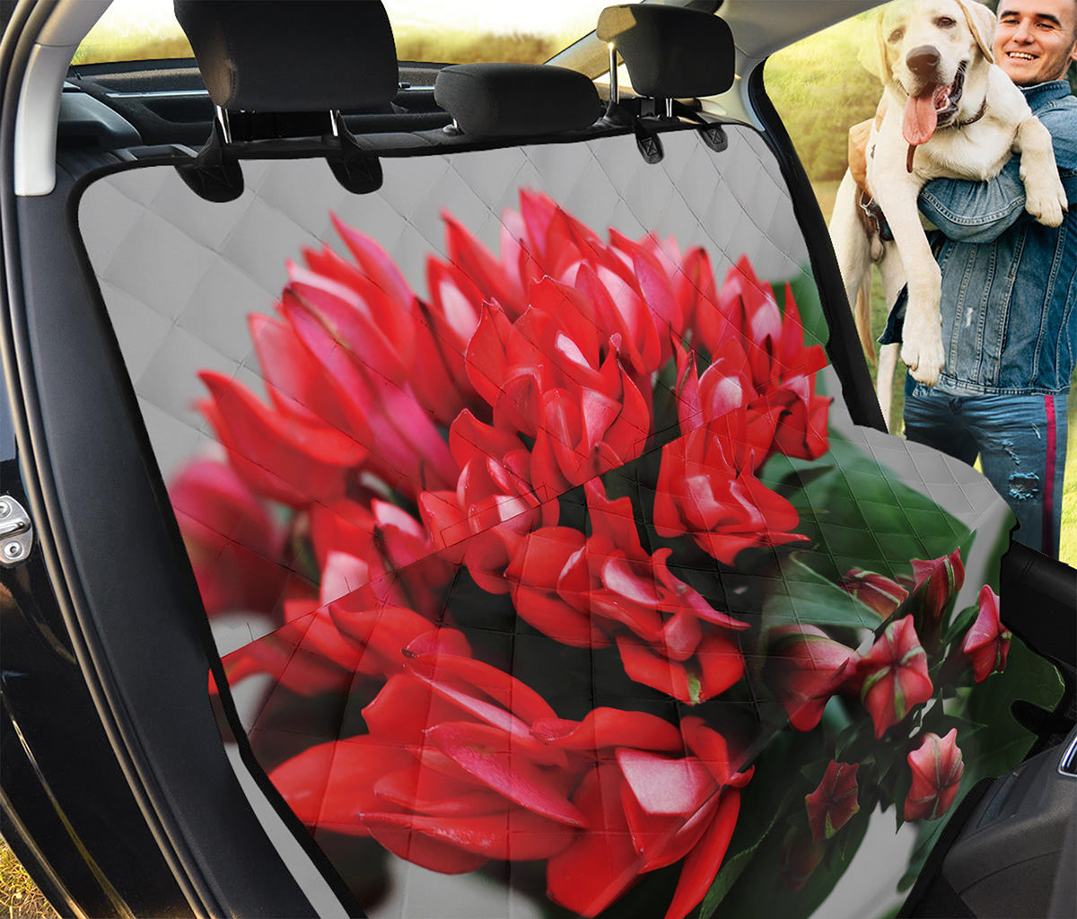 Bouvardia Flower Print Pet Car Back Seat Cover