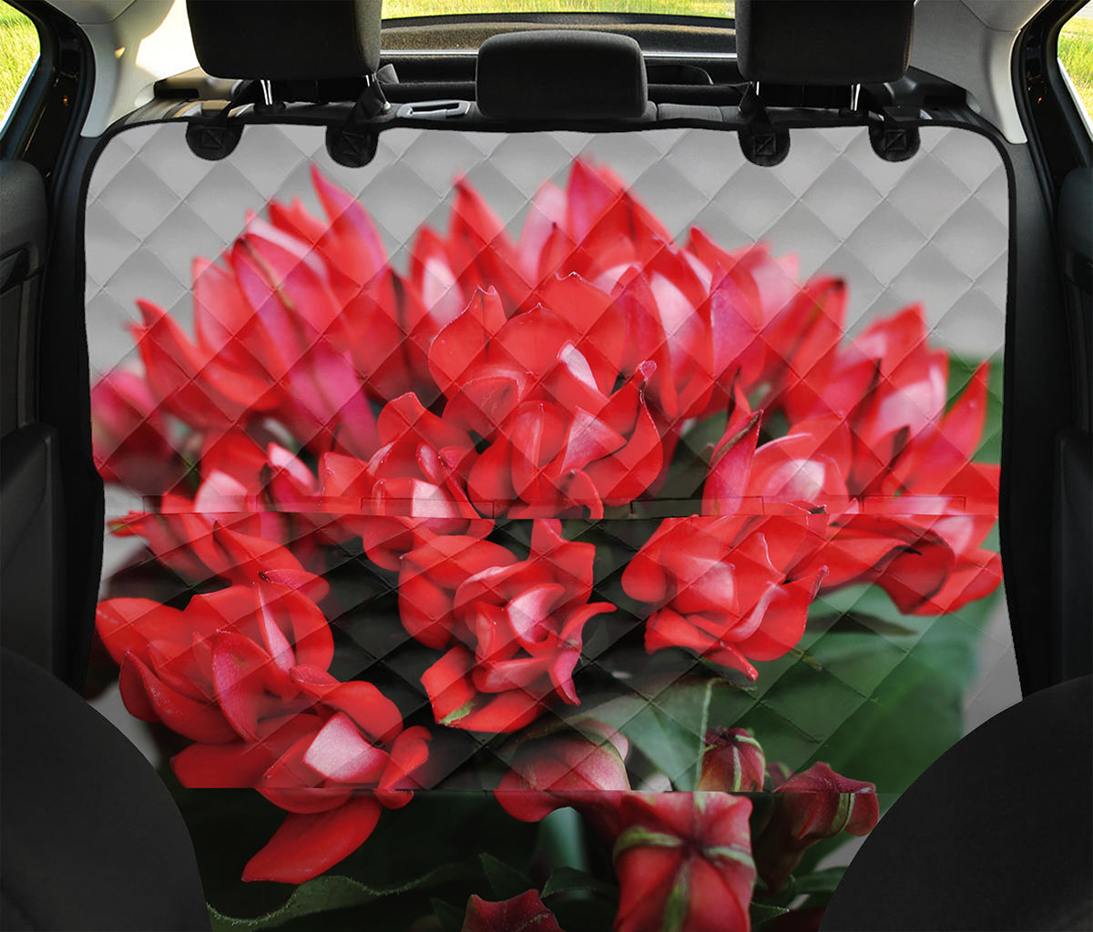 Bouvardia Flower Print Pet Car Back Seat Cover