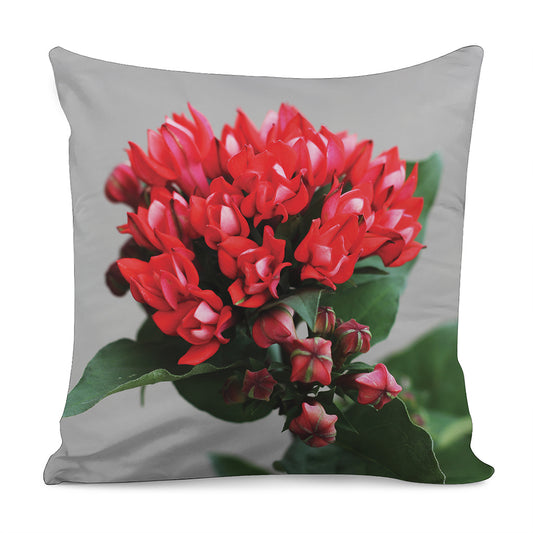 Bouvardia Flower Print Pillow Cover