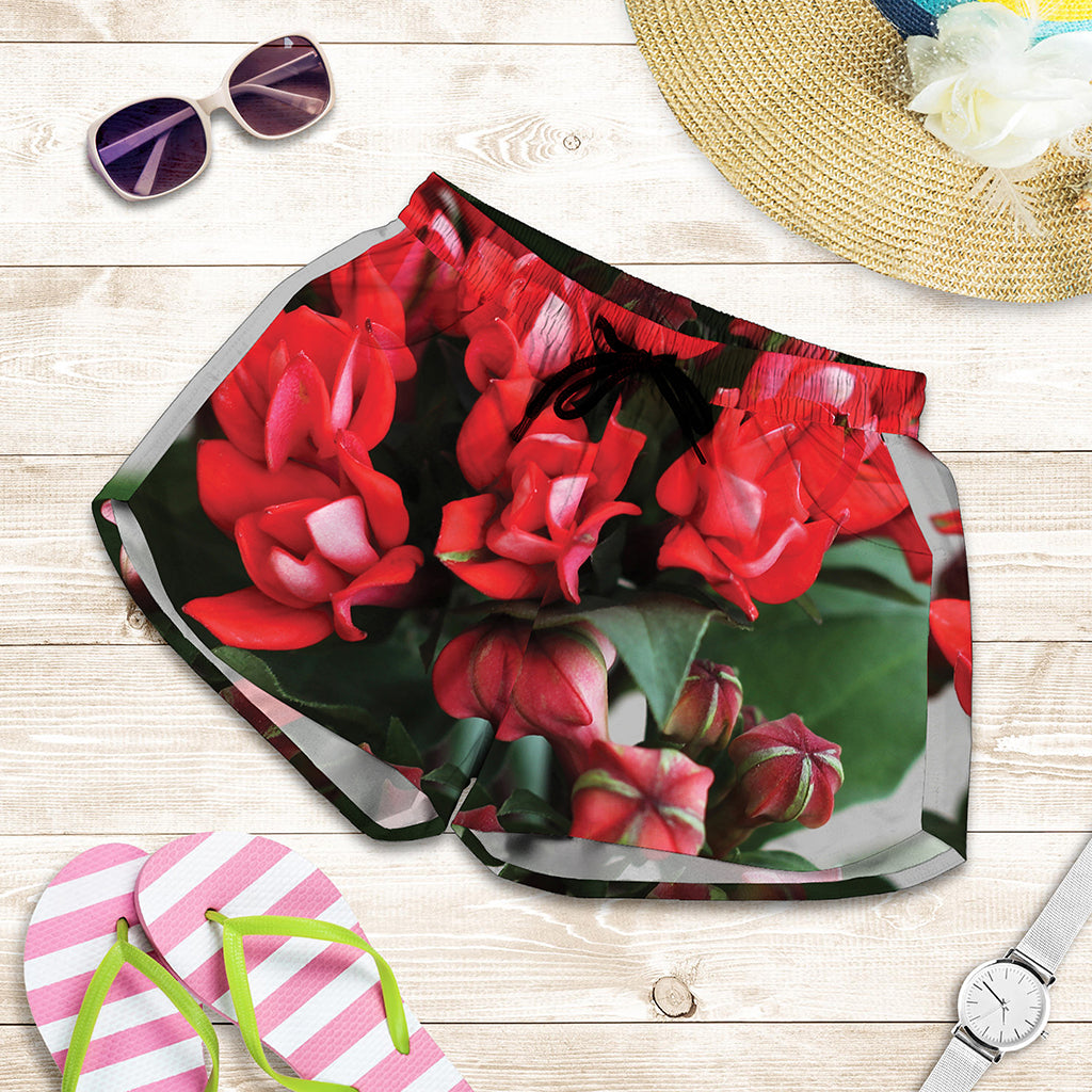 Bouvardia Flower Print Women's Shorts