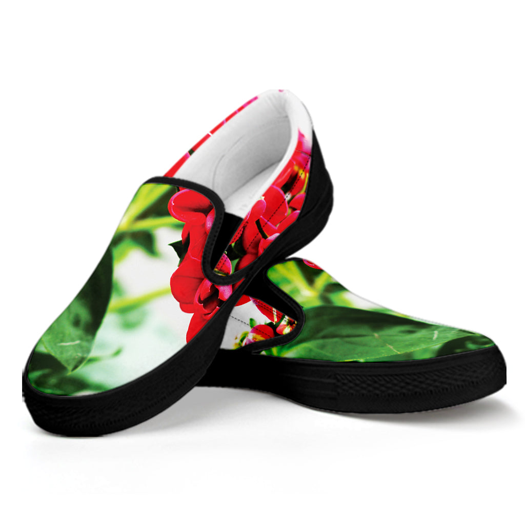 Bouvardia Plant Print Black Slip On Shoes