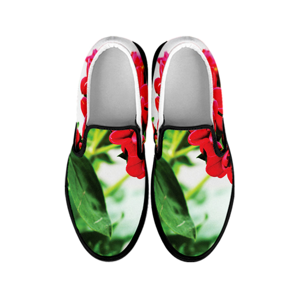 Bouvardia Plant Print Black Slip On Shoes
