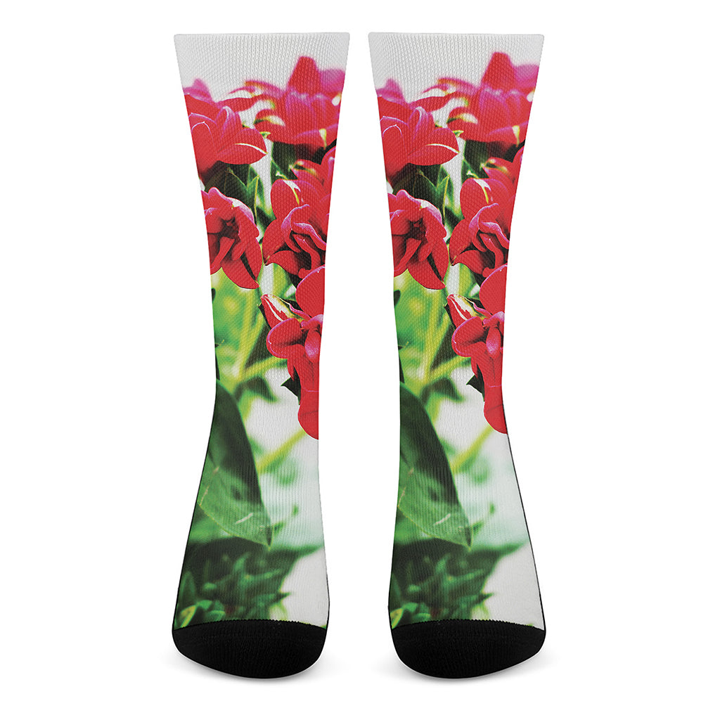 Bouvardia Plant Print Crew Socks