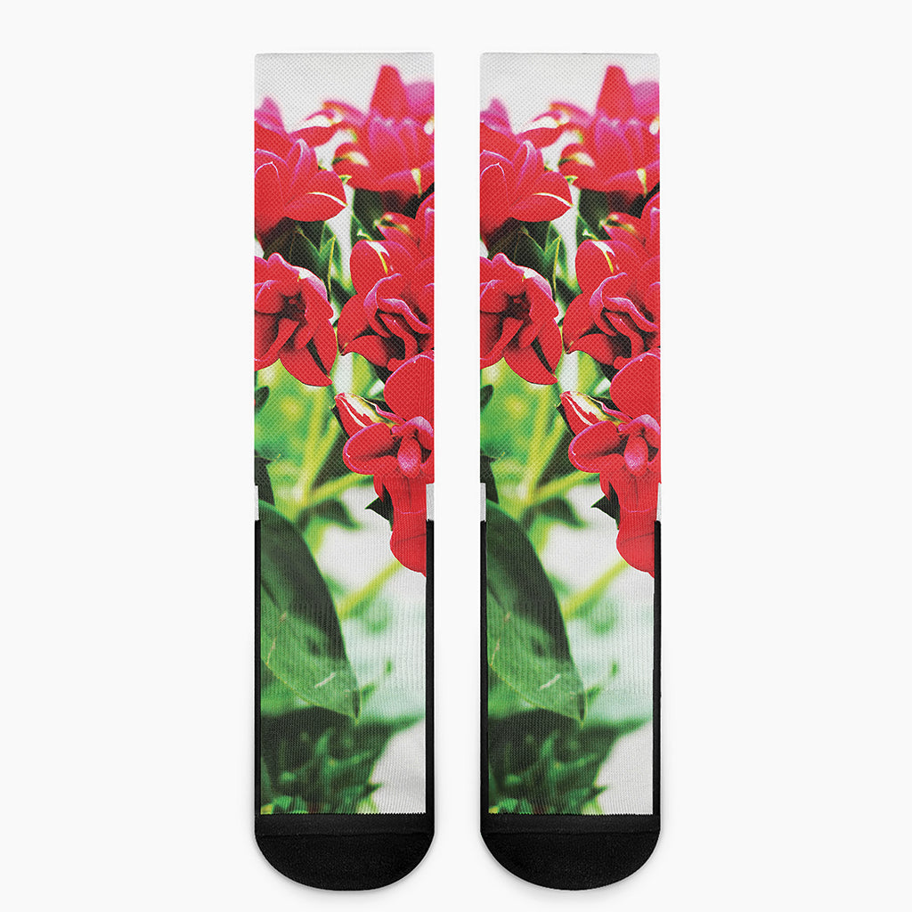 Bouvardia Plant Print Crew Socks