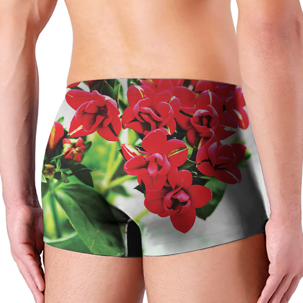 Bouvardia Plant Print Men's Boxer Briefs