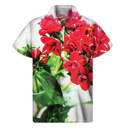 Bouvardia Plant Print Men's Short Sleeve Shirt